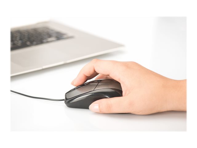 EDNET OFFICE MOUSE 3 BUTTONS SCROLL W