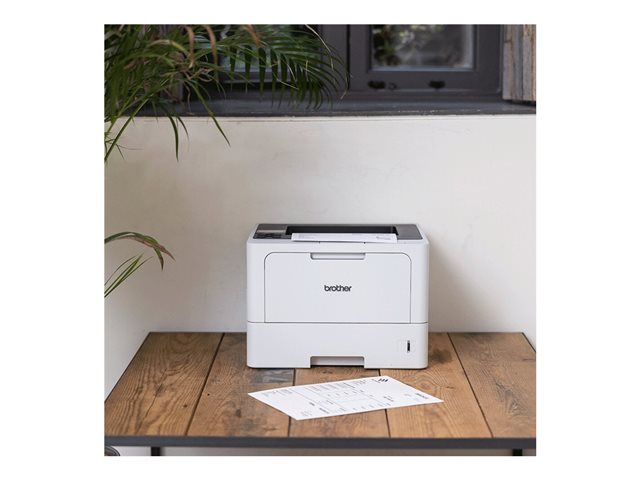 Brother HL-L5210DNT - Printer - B/W - Duplex - laser - A4/Legal - 1200 x 1200 dpi - up to 48 ppm - capacity: 870 sheets - USB 2.0, Gigabit LAN - with Brother PRINT AirBag for 200000 pages