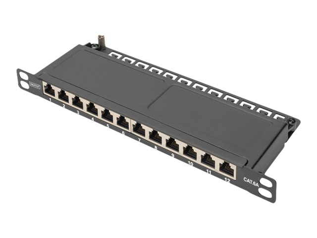 10IN CAT 6A Patch Panel 12-port 0.5U 10I