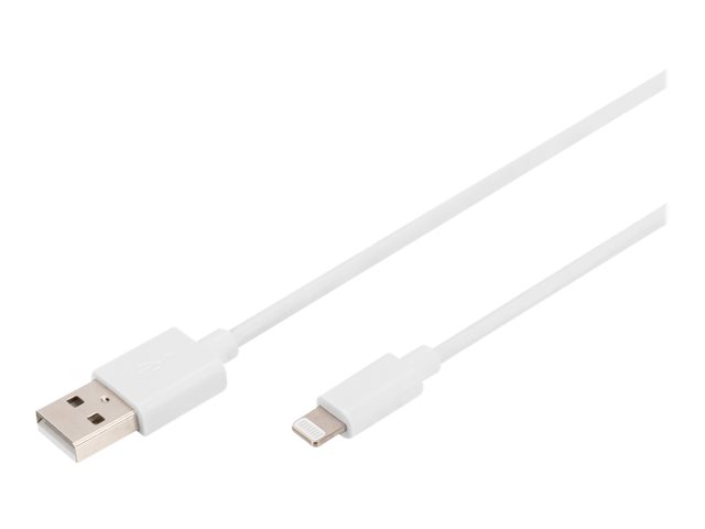 USB-A to lightningm FI C89 2M cable