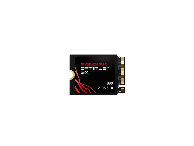 Sandisk Optimus GX 7100M PCIe-G4 1TB M2