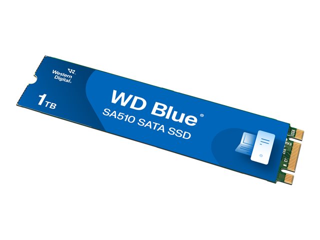 WD Blue SA510 WDS100T3B0B-00AXS0 - SSD - 1 TB - internal - M.2 2280 - SATA 6Gb/s