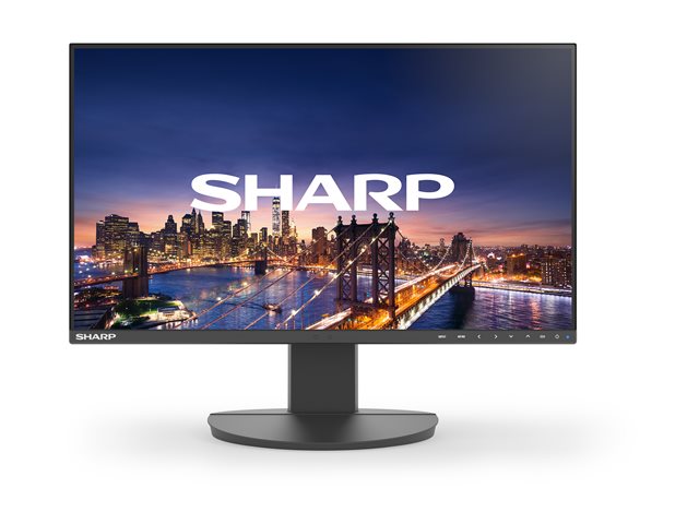 Sharp MultiSync DD-EA241F - LED monitor - 24\" (23.8\" viewable) - 1920 x 1080 Full HD (1080p) - IPS - 250 cd/m² - 1000:1 - 6 ms - HDMI, DVI-D, VGA, DisplayPort - speakers - black