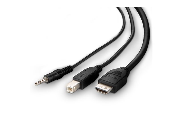 Belkin Secure KVM Combo Cable - Video / USB / audio cable - TAA Compliant - USB, mini jack, DVI-D (M) to USB Type B, mini jack, HDMI (M) - 1.83 m - passive, 4K support - black