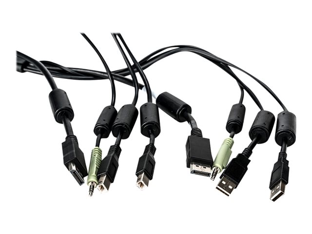 1-DISPLAYPORT/2-USB/1-AUDIO 6FT (SC845D)