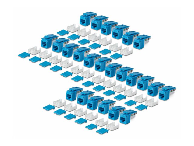 Cat6 Keystone Jack 24-Pack 90-Deg 110