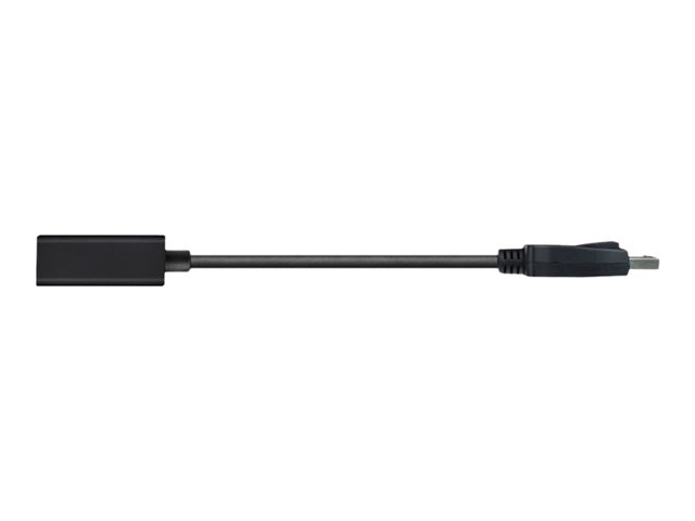 Ewent EW9846 - Videoadapter - dubbele verbinding - DisplayPort (M) naar DVI-I (V) - DisplayPort 1.1 - 15 cm - gevormd, ondersteuning 1920p - zwart