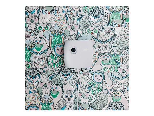 Whiteboard Owl