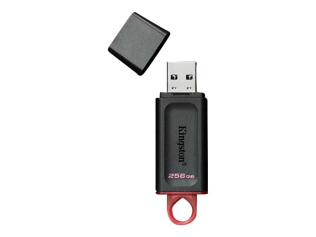 Kingston DataTraveler Exodia - USB flash drive - 256 GB - USB 3.2 Gen 1 - black/pink