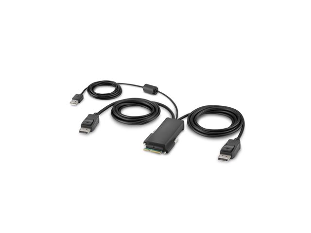 Belkin Secure Modular DP Dual Head Host Cable - Video / USB cable - TAA Compliant - USB, DisplayPort (M) - 1.83 m - 4K support, active