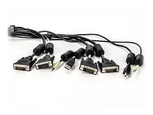 DH DVI-D CABLE USB AUDIO - 6FT