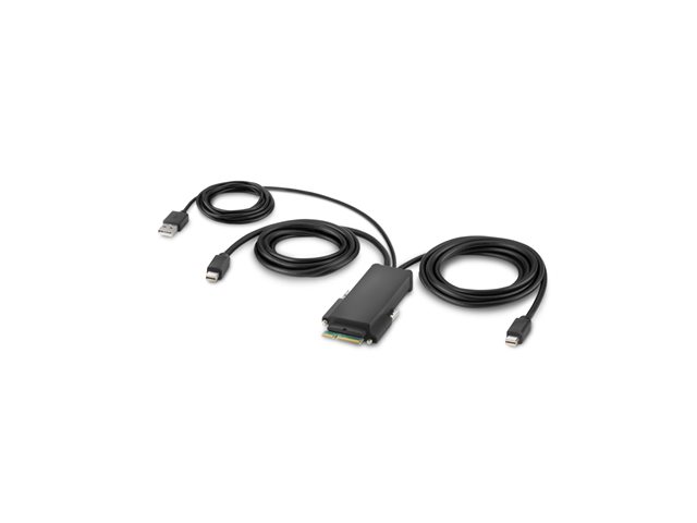 Belkin Secure Modular Mini DP Dual Head Host Cable - Video cable - Mini DisplayPort (M) - 1.83 m