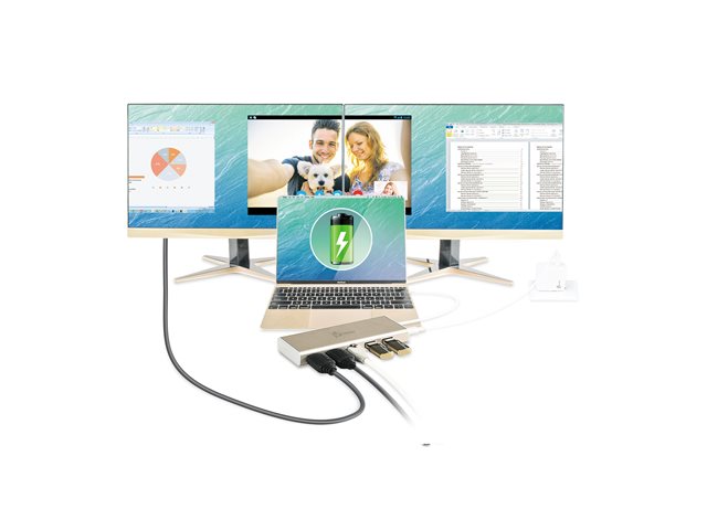 USB-C Dual HDMI Multi Dock