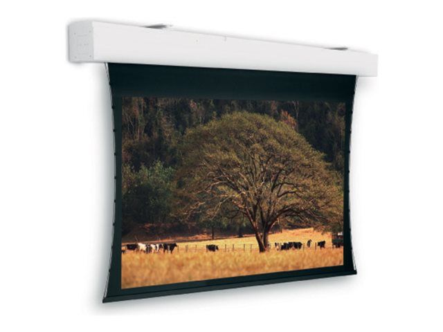 Da-Lite Tensioned Elpro Large Electrol - Projection screen - ceiling mountable, wall mountable - motorised - 230 V - 204\" (519 cm) - 16:10 - HD Progressive 1.1 Contrast - RAL 9010