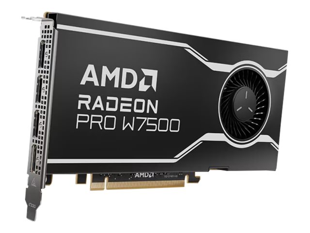 AMD Radeon Pro W7500 - Graphics card - Radeon Pro W7500 - 8 GB GDDR6 - PCIe 4.0 x8 - 4 x DisplayPort