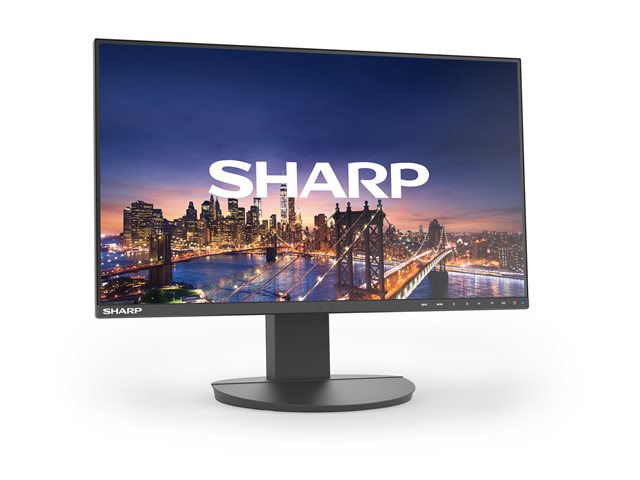 Sharp MultiSync DD-EA241F - LED monitor - 24\" (23.8\" viewable) - 1920 x 1080 Full HD (1080p) - IPS - 250 cd/m² - 1000:1 - 6 ms - HDMI, DVI-D, VGA, DisplayPort - speakers - black