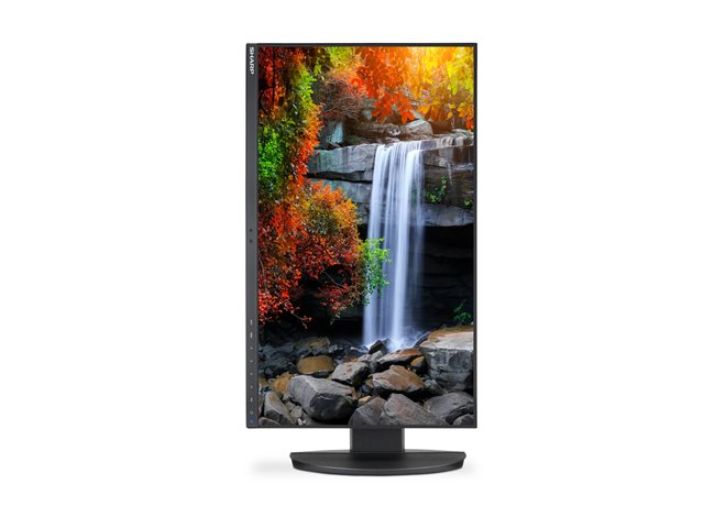 Sharp MultiSync EA242F - LED monitor - 23.8\" - 1920 x 1080 Full HD (1080p) @ 62 Hz - IPS - 250 cd/m² - 1000:1 - 6 ms - HDMI, VGA, DisplayPort, USB-C - speakers - black