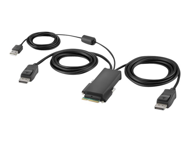 Belkin Secure Modular DP Dual Head Host Cable - Video / USB cable - TAA Compliant - USB, DisplayPort (M) - 1.83 m - 4K support, active