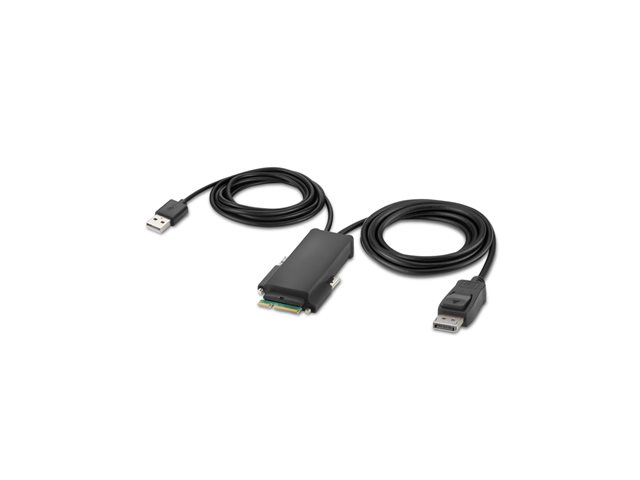 Belkin Secure Modular DP Single Head Host Cable - DisplayPort cable - TAA Compliant - 1.83 m - 4K support, active