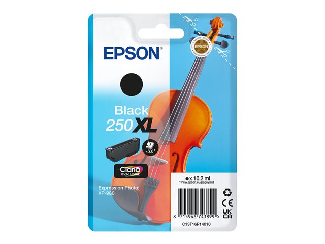 Singlepack Black 250XL ink