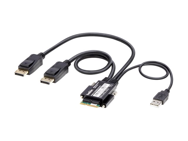 MODULAR DH HOST CABLE DP 1'