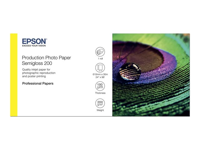 Epson Production - Polyethylene (PE) - semi-glossy - microporous - 200 micron - Roll (60.96 cm x 30 m) - 200 g/m² - 1 roll(s) photo paper - for SureColor P10000, P20000, SC-P10000, P20000, P6000, P7000, P7500, P8000, P9000, T7200