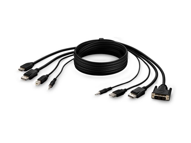 Belkin Secure KVM Combo Cable - Video / USB / audio cable - TAA Compliant - USB, mini jack, DVI-D, DisplayPort (M) to USB Type B, mini jack, HDMI, DisplayPort (M) - 1.83 m - passive, 4K support - black