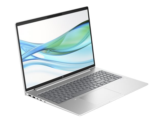 HP ProBook 465 G11 UMA Ryze5 7535U TI PD IC 16.0 WUXGA UWVA 300 WWAN FHDC 60Hz bnt Panel 16GB (1x16GB) DDR5 4800 SODIMMMemory 512GB W11p64 1 Yr Warranty QWERTZ