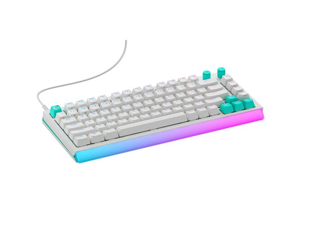 G512 X 75 WHITE - PAN - EMEA28I-935