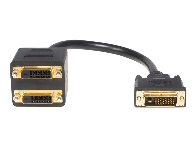 StarTech.com 1 ft DVI-D to 2x DVI-D Digital Video Splitter Cable - M/F (DVISPL1DD) - Video splitter - dual link - DVI-D female to DVI-D male - 30.5 cm - shielded - black - for P/N: DVIDDMM1, DVIDDMM10M, DVIDDMM25, DVIDDMM2M, DVIDDMM3M, DVIDDMM5M