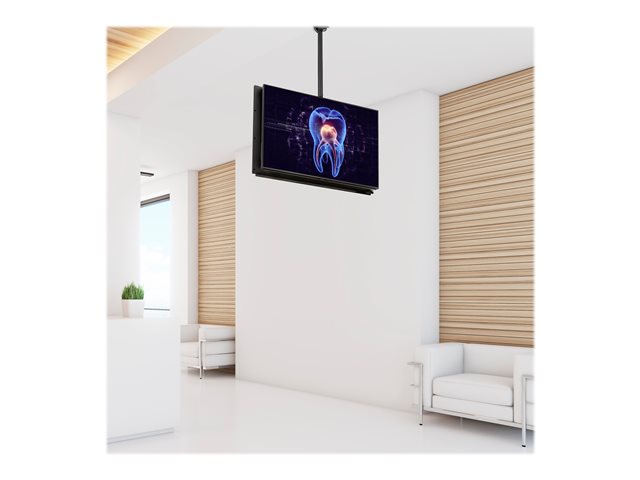 StarTech.com Dual TV Ceiling Mount, Back-to-Back Heavy Duty Hanging Dual Screen Mount with Adjustable Telescopic 3.5' to 5' Pole, Tilt/Swivel/Rotate, VESA Bracket for 32?-75\" Displays - Ceiling TV Bracket (FPCEILBTB) - Bracket - for flat panel - heavy duty steel - black - screen size: 32\"-75\" - ceiling mountable