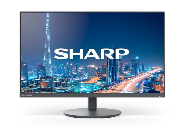 Sharp MultiSync DD-E244F - LED monitor - 24\" (23.8\" viewable) - 1920 x 1080 Full HD (1080p) @ 60 Hz - IPS - 250 cd/m² - 3000:1 - 6 ms - HDMI, VGA, DisplayPort - speakers