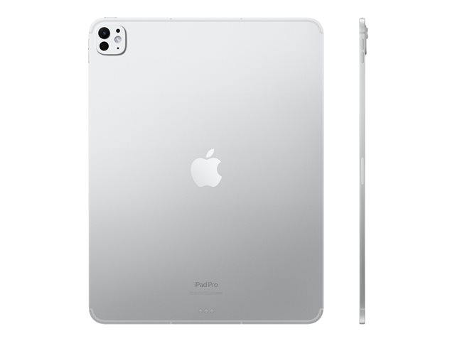 13-inch iPad Pro Wi-Fi + Cellular 256GB with standard glass - Silver