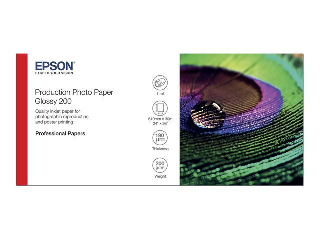 Epson Production - Polyethylene (PE) - glossy - microporous - 200 micron - Roll (60.96 cm x 30 m) - 200 g/m² - 1 roll(s) photo paper - for SureColor P10000, P20000, SC-P10000, P20000, P6000, P7000, P7500, P8000, P9000, T7200