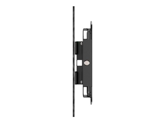 IPAD MINI 8.3IN6-7TH GLASS MOUNT SPACE E