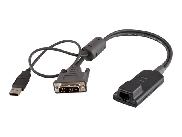 Server Interface Module for DVI video