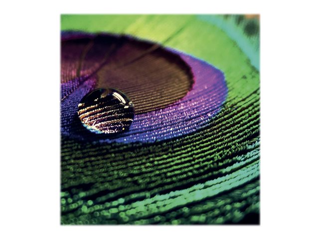 Epson Production - Polyethylene (PE) - semi-glossy - microporous - 200 micron - Roll (91.4 cm x 30 m) - 200 g/m² - 1 roll(s) photo paper - for Stylus Pro 9890, SureColor P10000, P20000, SC-P10000, P20000, P8000, P9000, P9500, T7200