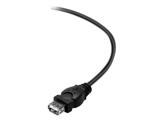 Belkin - USB extension cable - USB (M) to USB (F) - USB 2.0 - 1.8 m