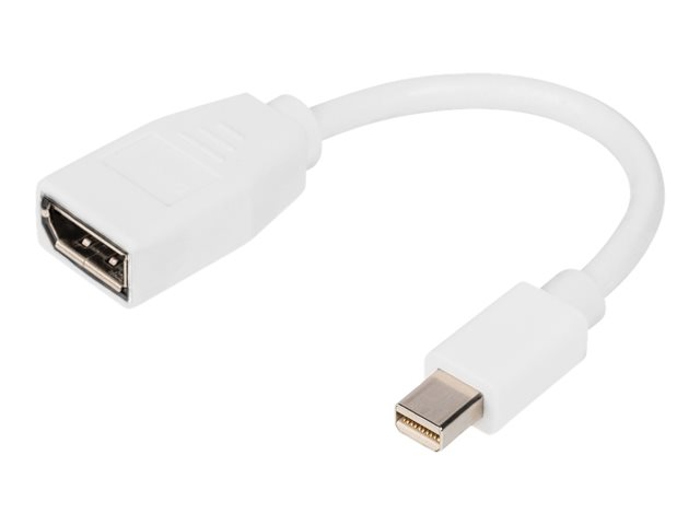 DisplayPort adapter cable mini DP - DP D