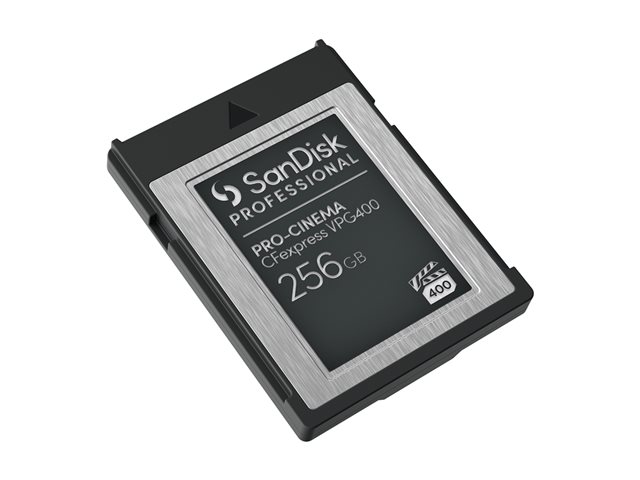 SanDisk Professional - Flash memory card - 256 GB - CFexpress Type B - black