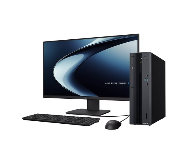 ASUS ExpertCenter P500SV-05210H009X