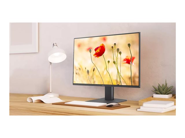 GW2491 Display 24i IPS 100Hz FHD