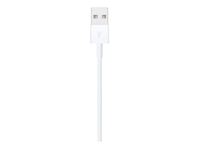 Apple - Lightning cable - Lightning male to USB male - 1 m