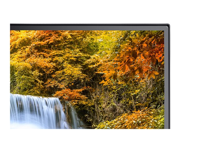 Sharp MultiSync EA242F - LED monitor - 23.8\" - 1920 x 1080 Full HD (1080p) @ 62 Hz - IPS - 250 cd/m² - 1000:1 - 6 ms - HDMI, VGA, DisplayPort, USB-C - speakers - black