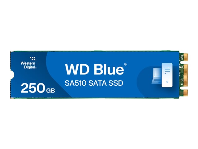 WD Blue SA510 WDS250G3B0B-00AXS0 - SSD - 250 GB - internal - M.2 2280 - SATA 6Gb/s - blue