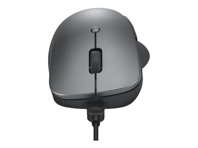 Lenovo Professional - Mouse - ergonomic - blue optical - 6 buttons - wireless - Bluetooth 5.1 - storm grey