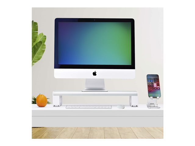 Ergonomic Monitor Riser Stand, 33lb Max