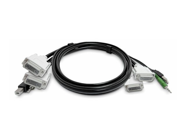 Dual-DVI KVM Cable USB 2.0 3.5mm TAA
