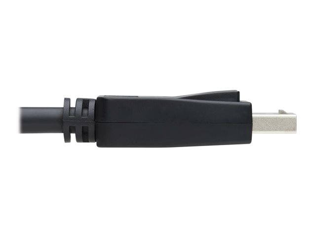 DisplayPort Extension Cable with Latch
