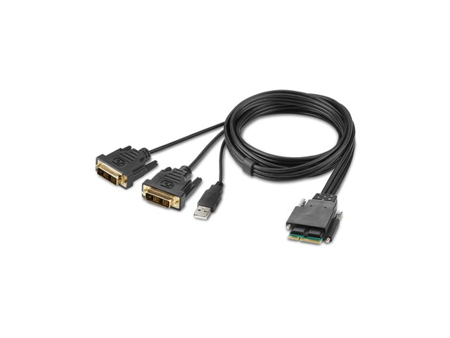 Belkin Secure Modular DVI Dual Head Host Cable - Video / USB cable - TAA Compliant - USB, DVI (M) - 1.83 m - 4K support, active